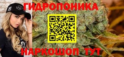 прущие грибы Абинск