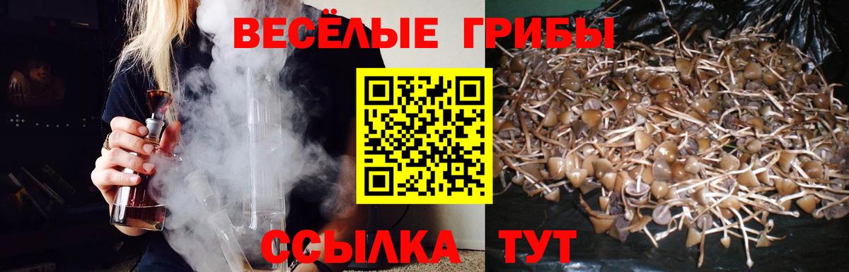 Псилоцибиновые грибы ЛСД Анапа